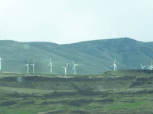 Day 1: Columbia River Gorge - Photo by Vanessa