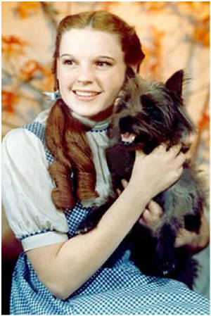 Dorothy and Toto from the Wizard of Oz