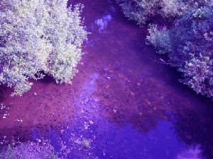 The Sacred Luckiamute River in Kings Valley