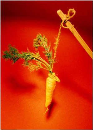 The carrot on the stick