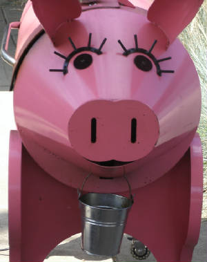 pig