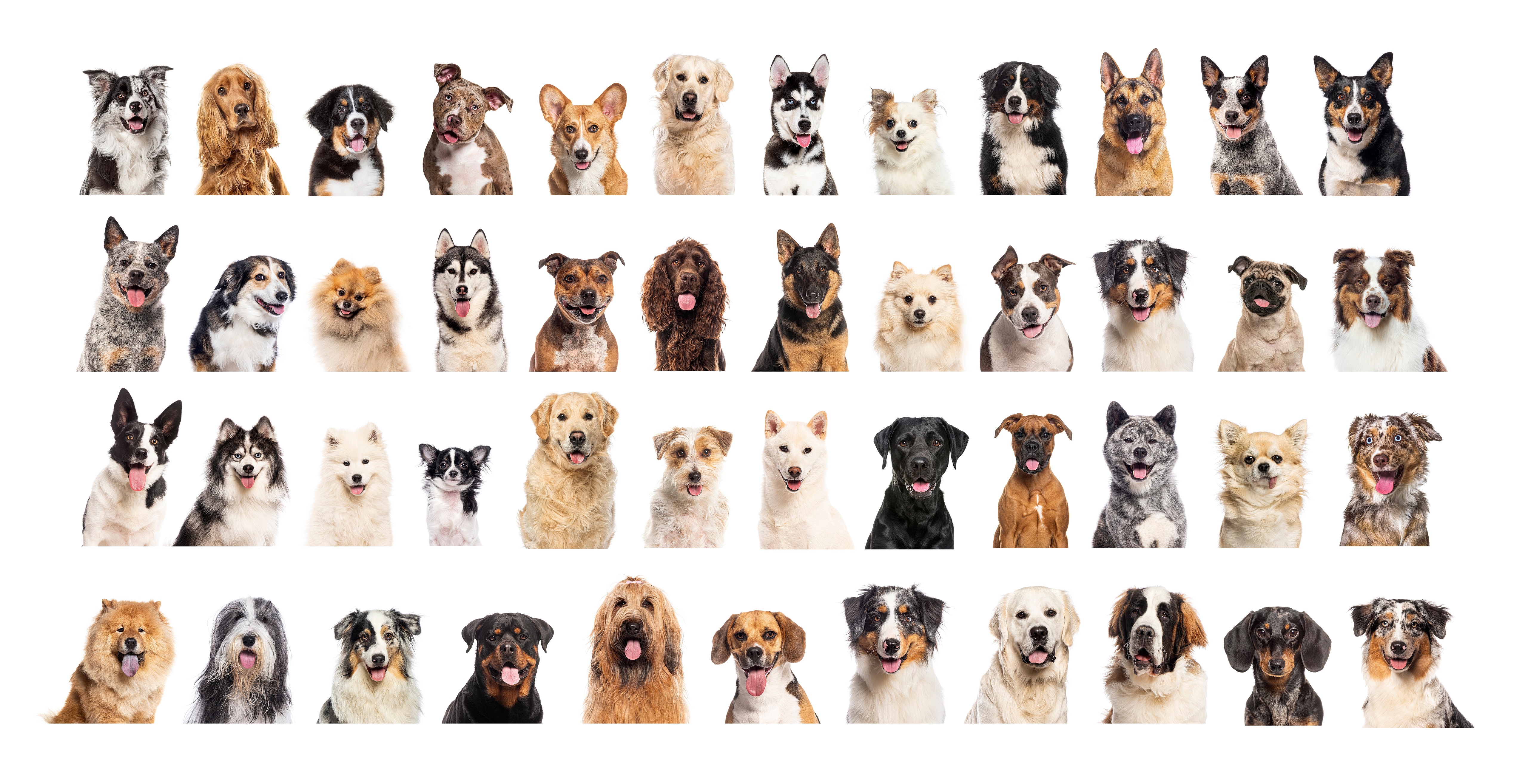webassets/shutterstock_2526951463-2.jpg